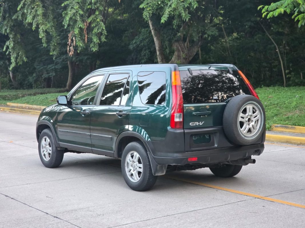 WhatsApp Image 2025-11-09 at 8.49.23 AM (3)