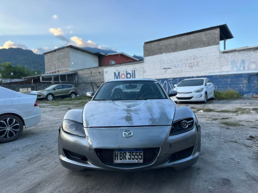 WhatsApp Image 2025-11-10 at 1.58.08 PM