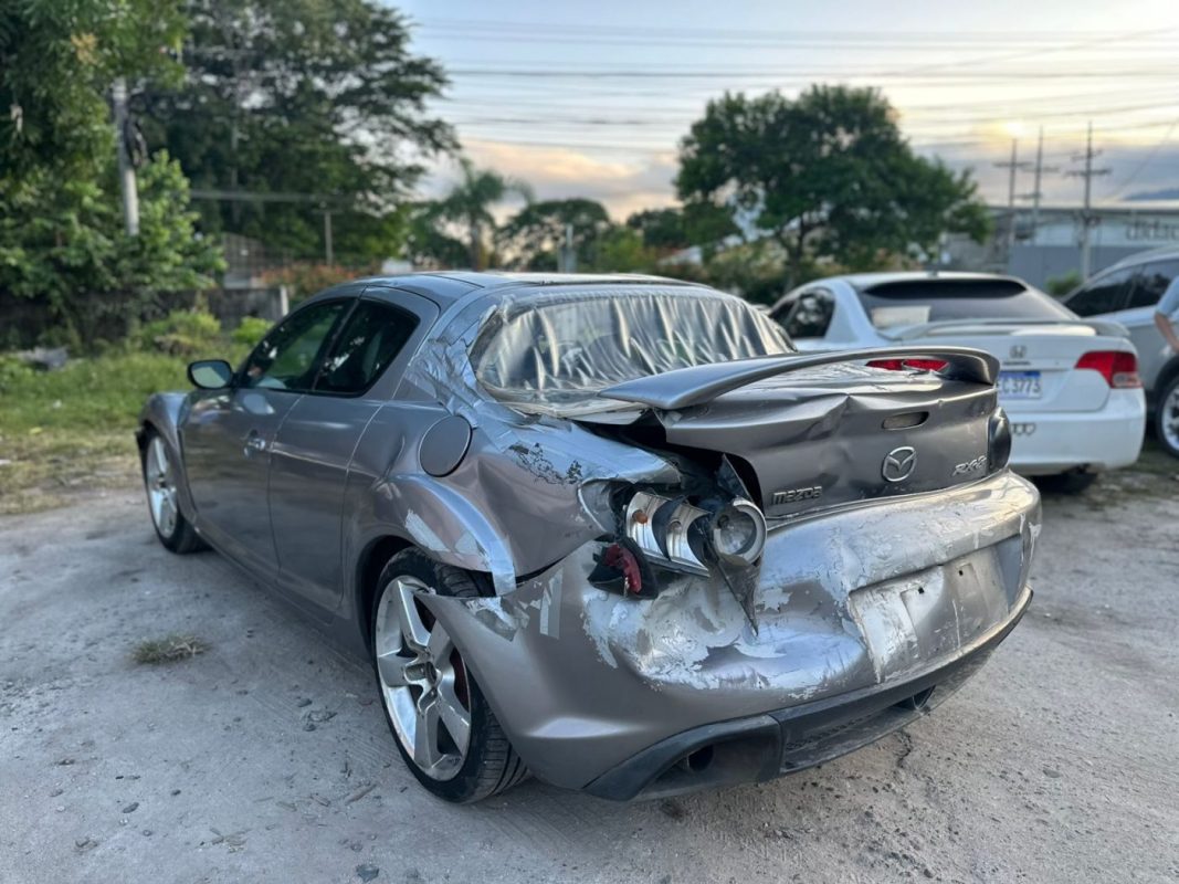 WhatsApp Image 2025-11-10 at 1.58.10 PM (3)