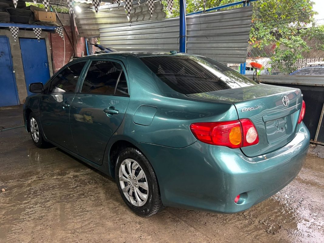 WhatsApp Image 2025-11-10 at 4.05.16 PM