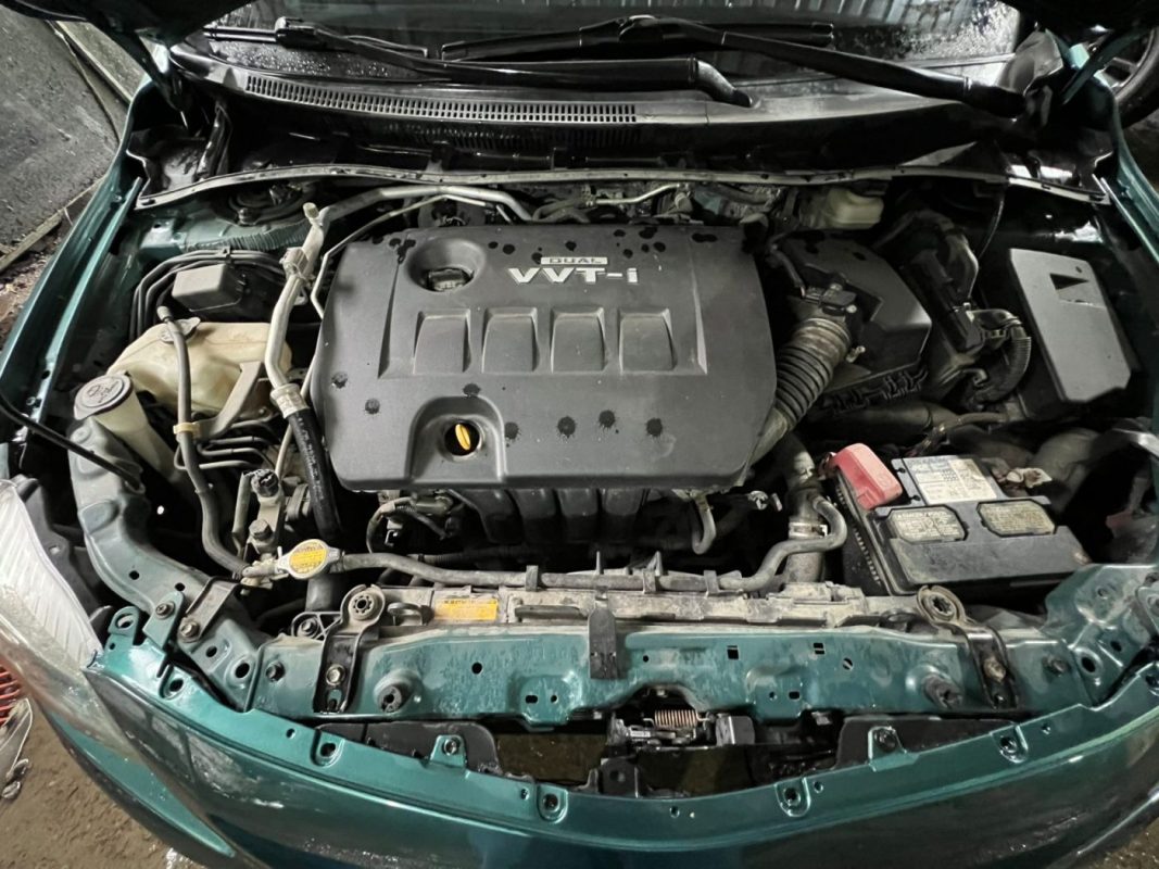 WhatsApp Image 2025-11-10 at 4.05.18 PM