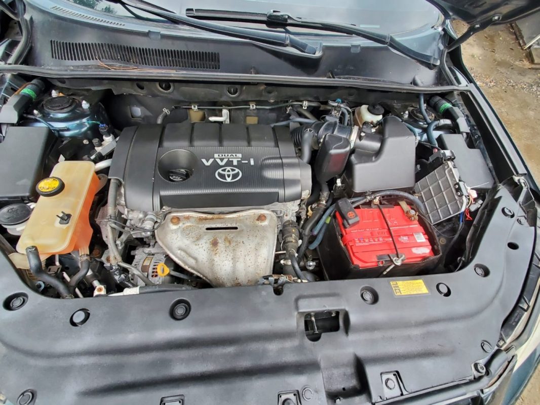 WhatsApp Image 2025-11-12 at 7.02.28 PM (3)