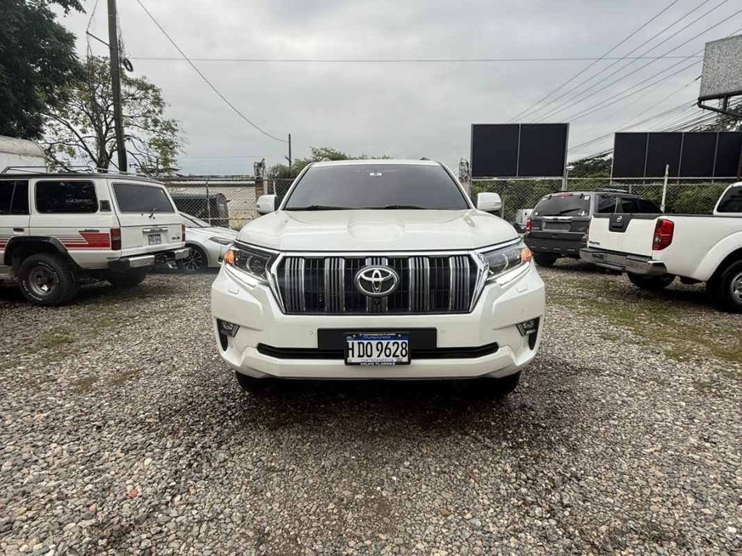 WhatsApp Image 2025-11-13 at 3.49.17 PM