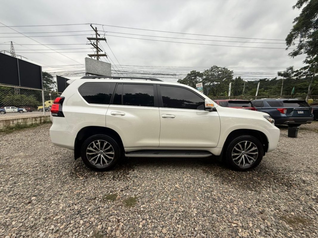 WhatsApp Image 2025-11-13 at 3.49.19 PM