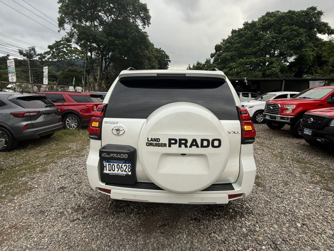 WhatsApp Image 2025-11-13 at 3.49.20 PM (2)