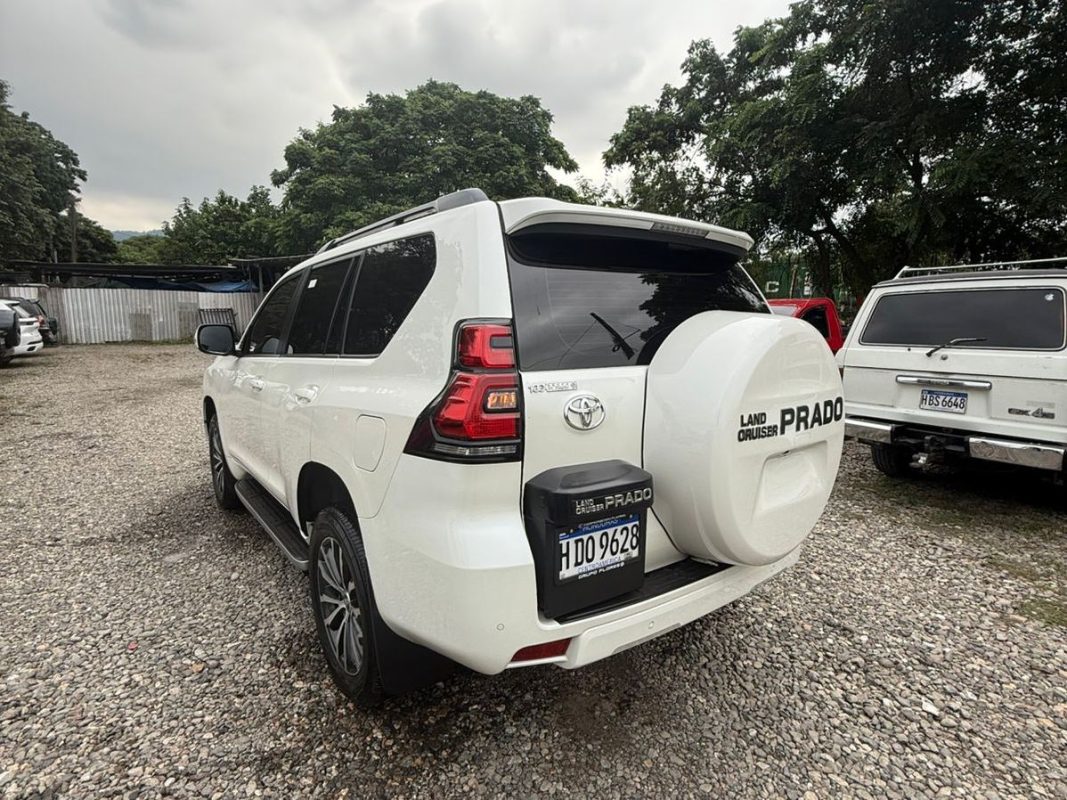 WhatsApp Image 2025-11-13 at 3.49.20 PM