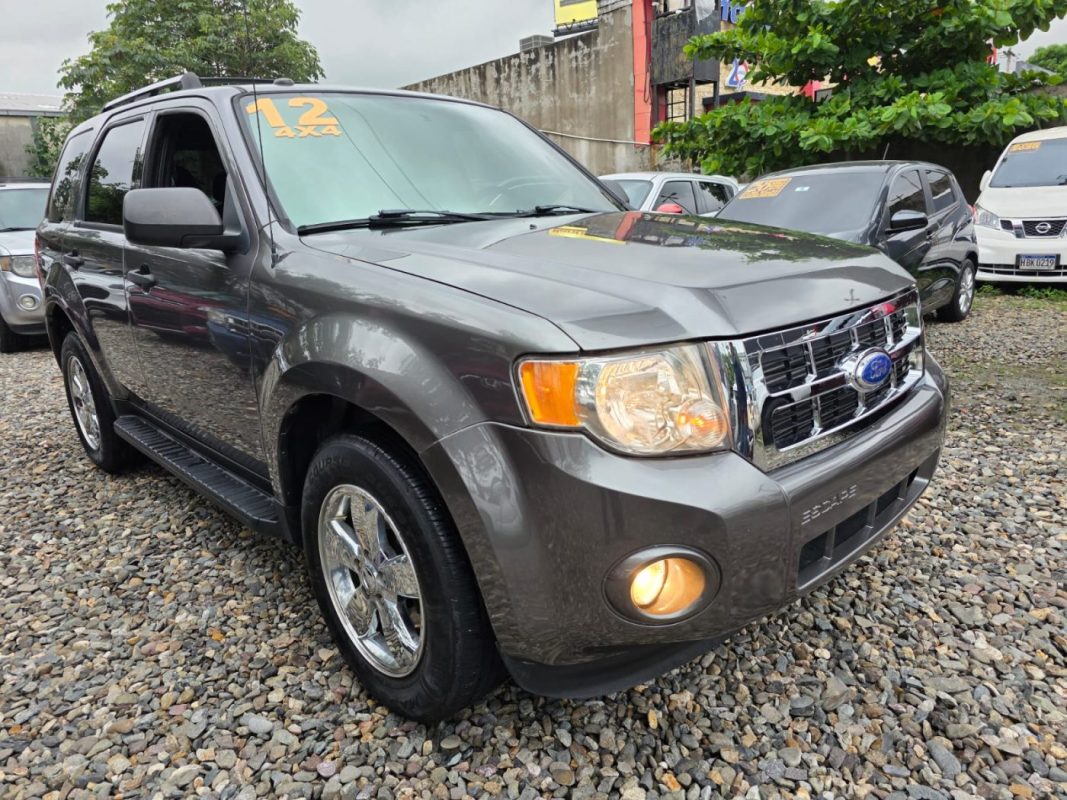 WhatsApp Image 2025-11-13 at 4.34.08 PM