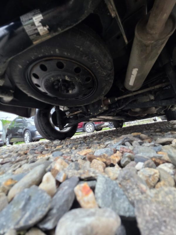 WhatsApp Image 2025-11-13 at 4.34.10 PM (3)