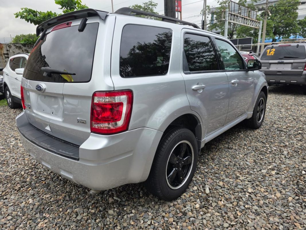 WhatsApp Image 2025-11-13 at 4.37.18 PM (1)