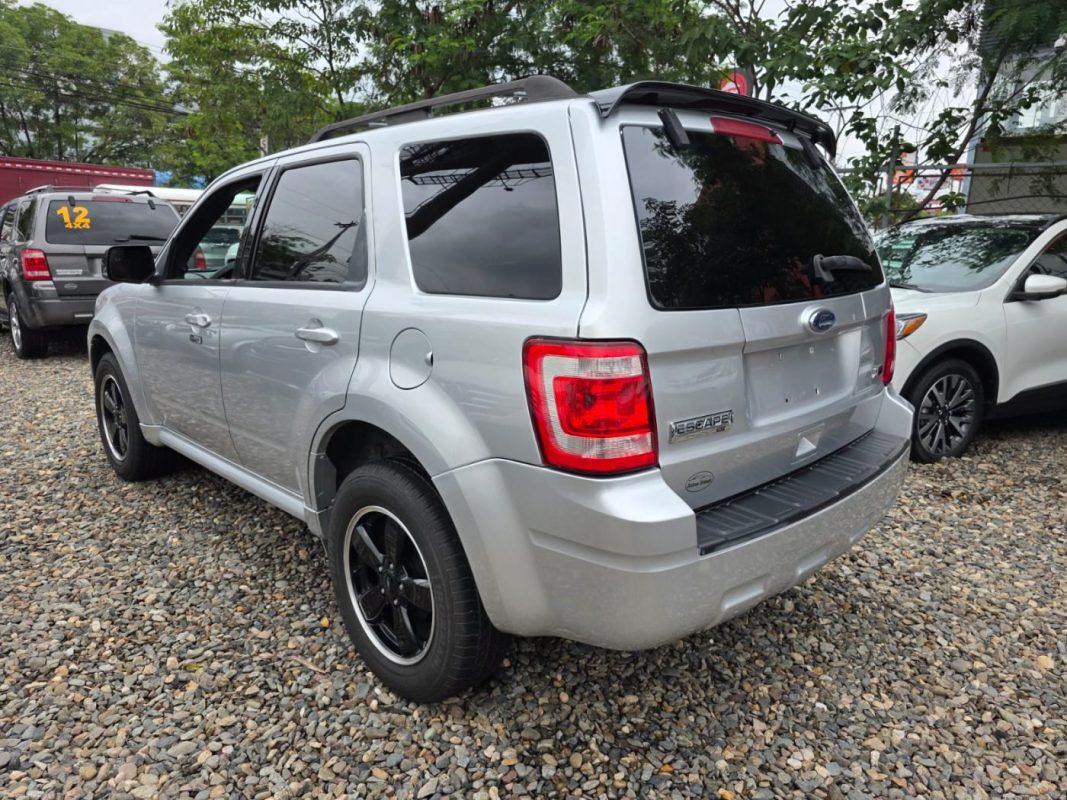 WhatsApp Image 2025-11-13 at 4.37.18 PM