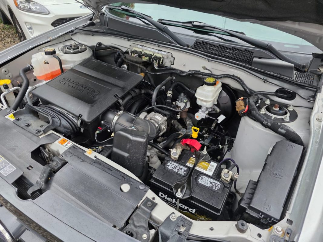 WhatsApp Image 2025-11-13 at 4.37.19 PM (1)