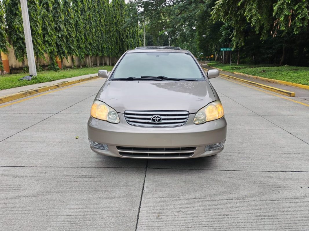 WhatsApp Image 2025-11-15 at 2.20.34 PM (2)