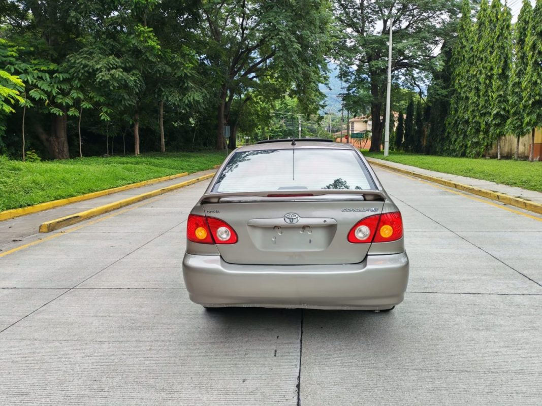 WhatsApp Image 2025-11-15 at 2.20.35 PM (1)