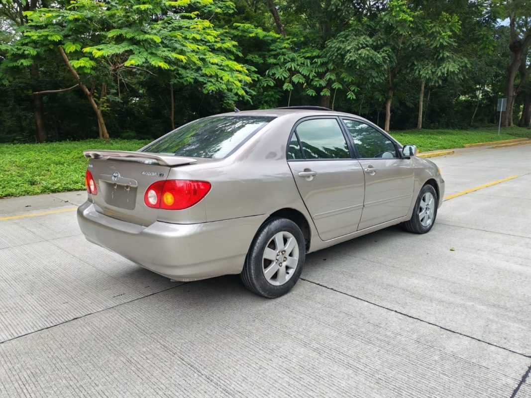 WhatsApp Image 2025-11-15 at 2.20.35 PM (2)