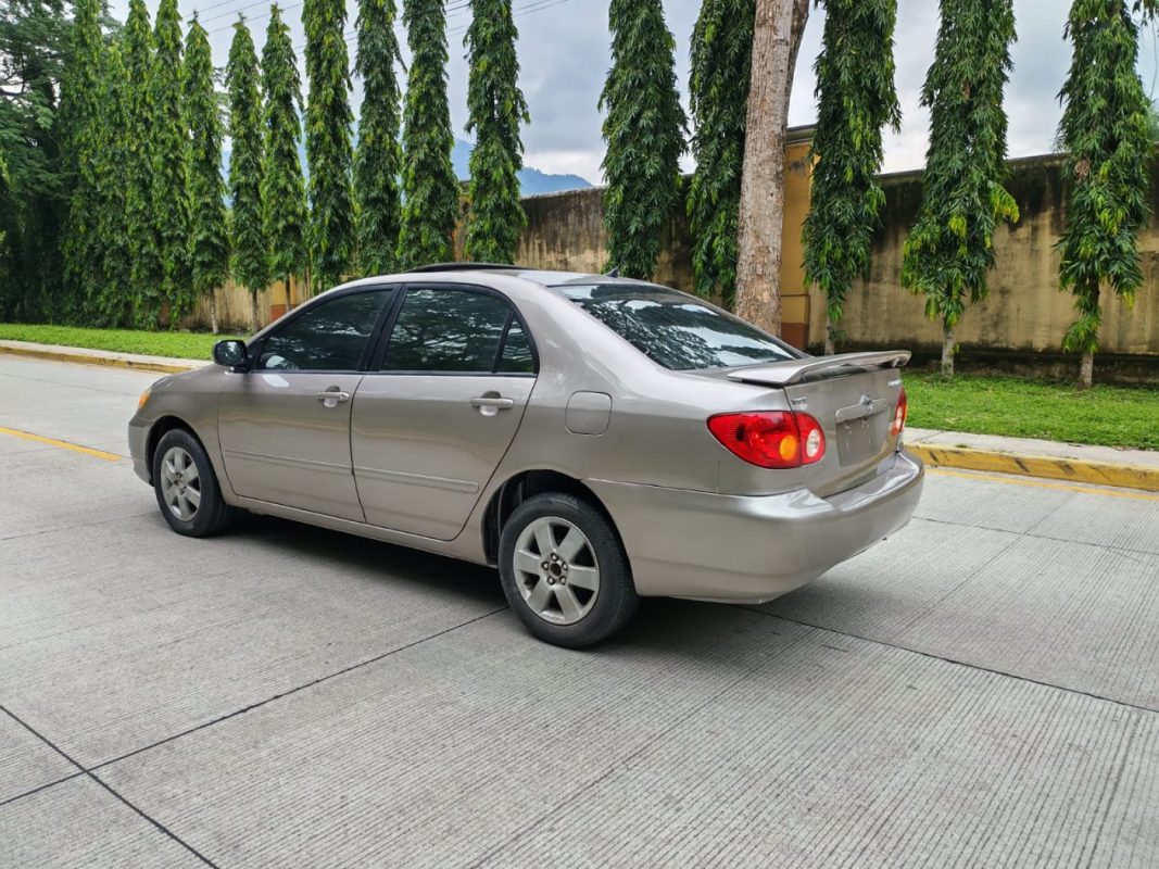 WhatsApp Image 2025-11-15 at 2.20.35 PM