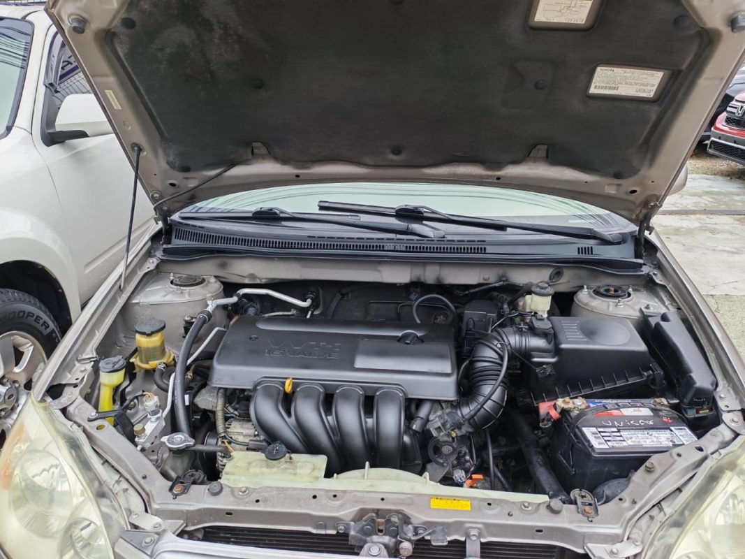 WhatsApp Image 2025-11-15 at 2.20.37 PM (3)