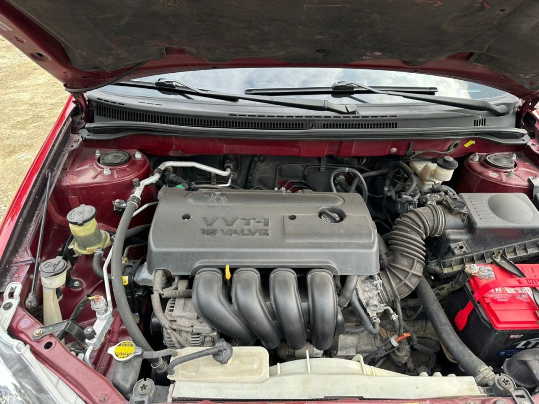 WhatsApp Image 2025-11-17 at 10.32.38 AM (4)