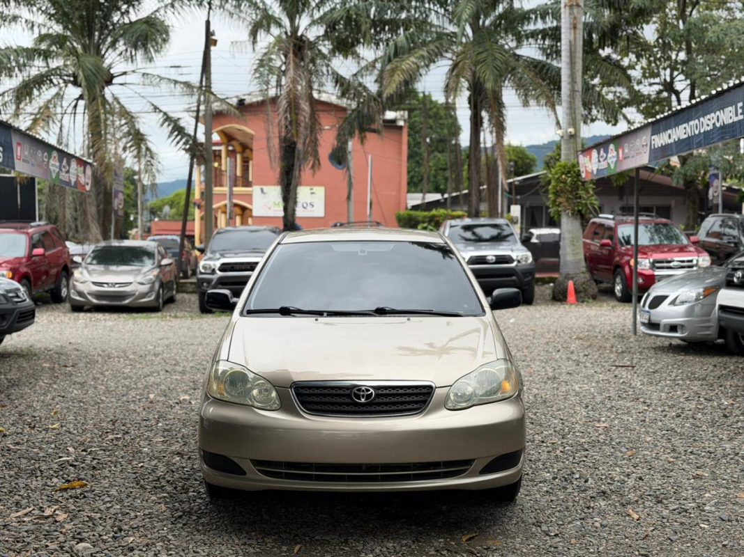 WhatsApp Image 2025-11-17 at 8.32.35 PM (1)