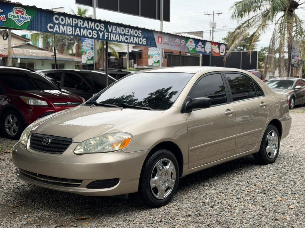 WhatsApp Image 2025-11-17 at 8.32.35 PM