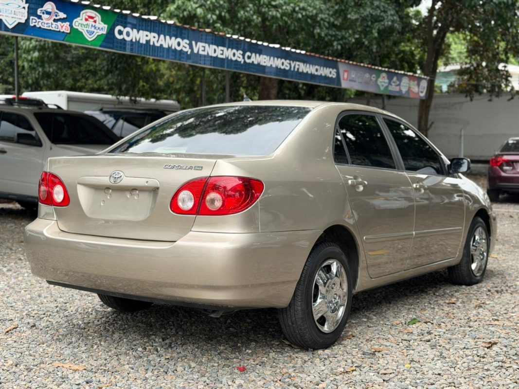 WhatsApp Image 2025-11-17 at 8.32.36 PM (1)