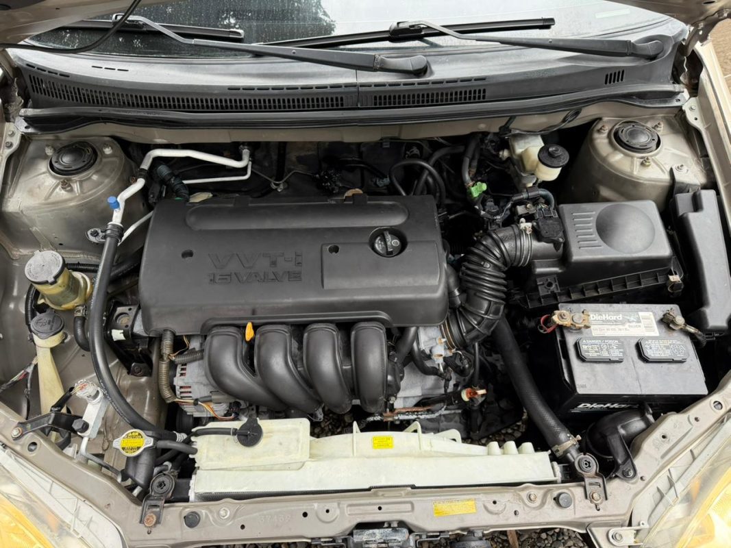 WhatsApp Image 2025-11-17 at 8.32.37 PM (2)