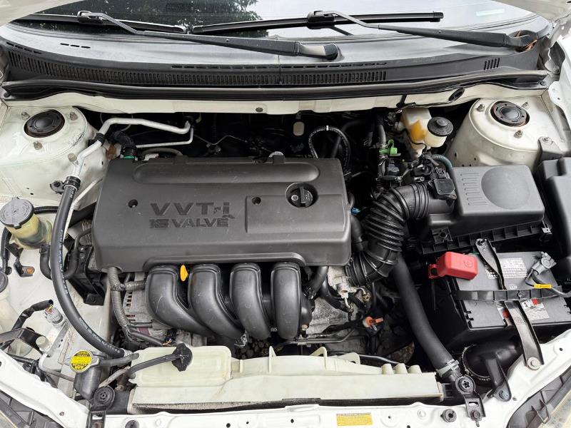 WhatsApp Image 2025-11-17 at 8.38.38 PM (4)