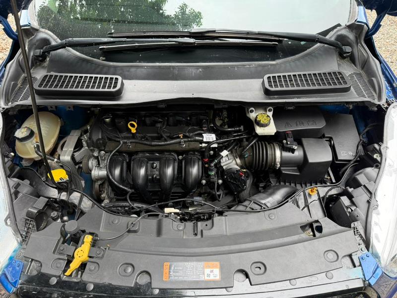 WhatsApp Image 2025-11-17 at 8.44.14 PM