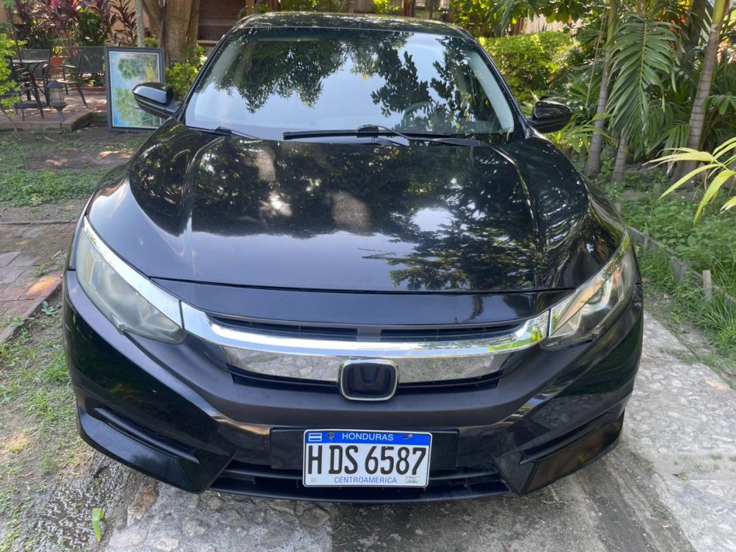 WhatsApp Image 2025-11-18 at 2.33.03 PM (1)