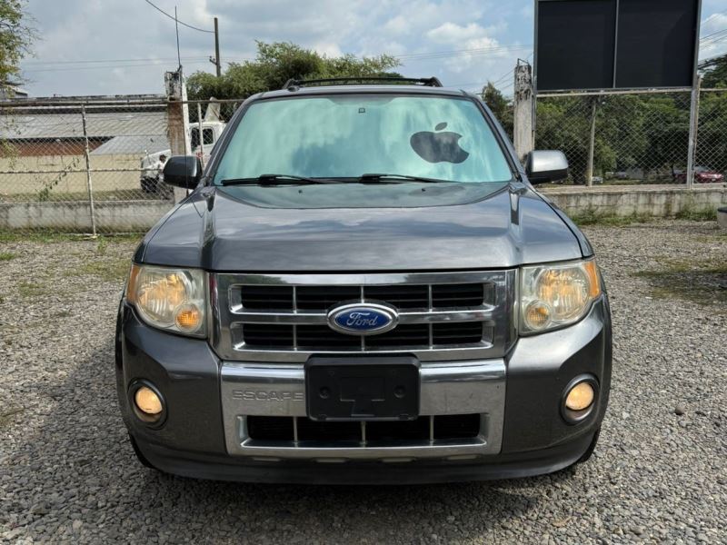 WhatsApp Image 2025-11-18 at 7.03.05 PM