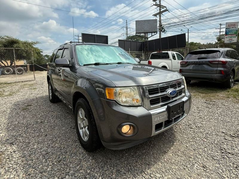 WhatsApp Image 2025-11-18 at 7.03.06 PM (1)