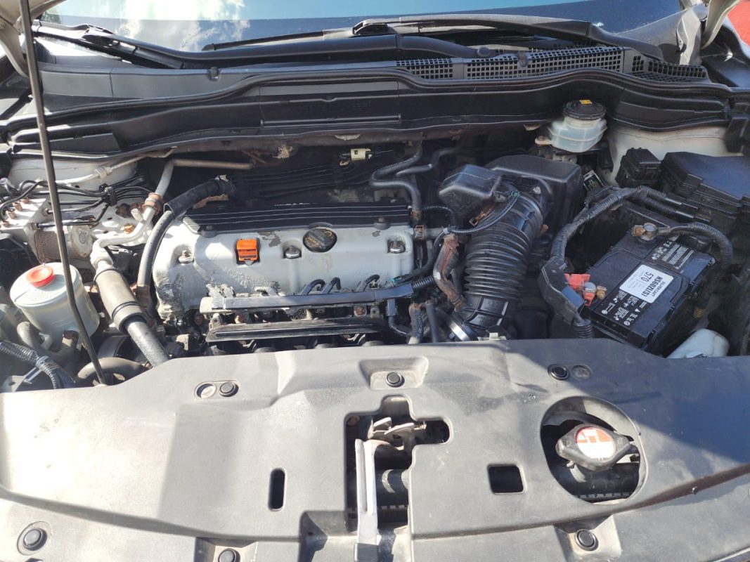 WhatsApp Image 2025-11-28 at 11.46.47 AM (1)