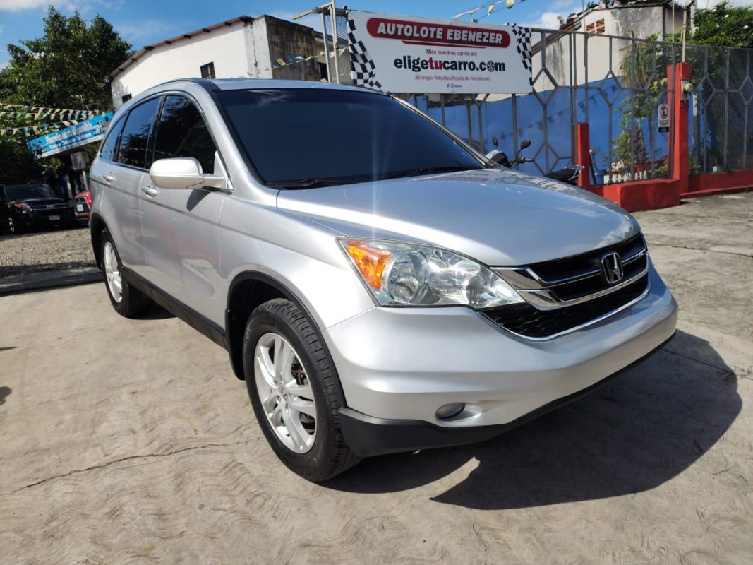 WhatsApp Image 2025-11-28 at 11.46.47 AM