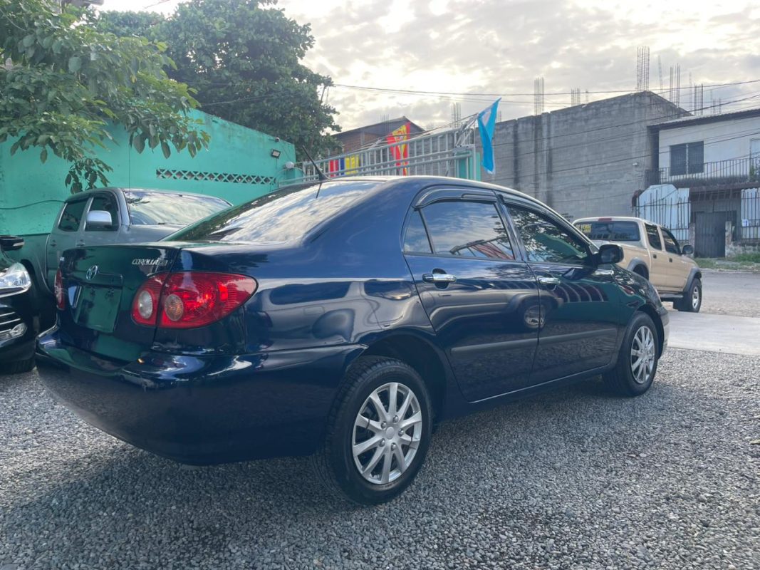 WhatsApp Image 2025-11-28 at 3.36.24 PM