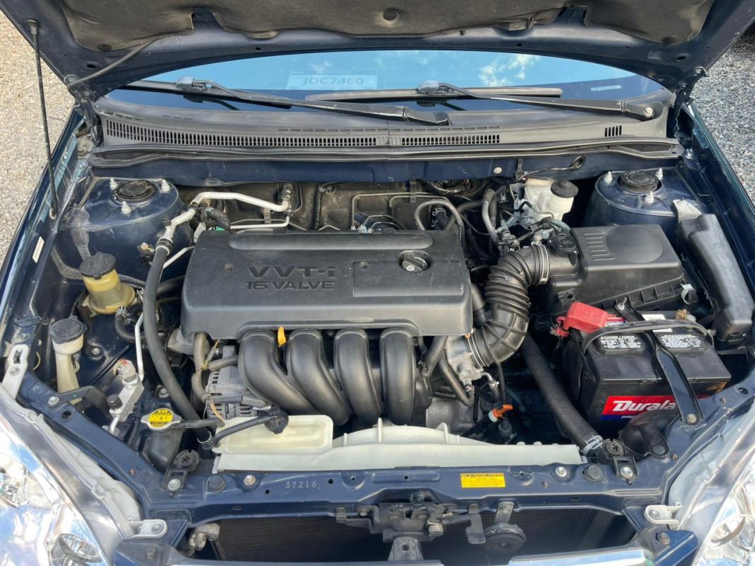 WhatsApp Image 2025-11-28 at 3.36.25 PM