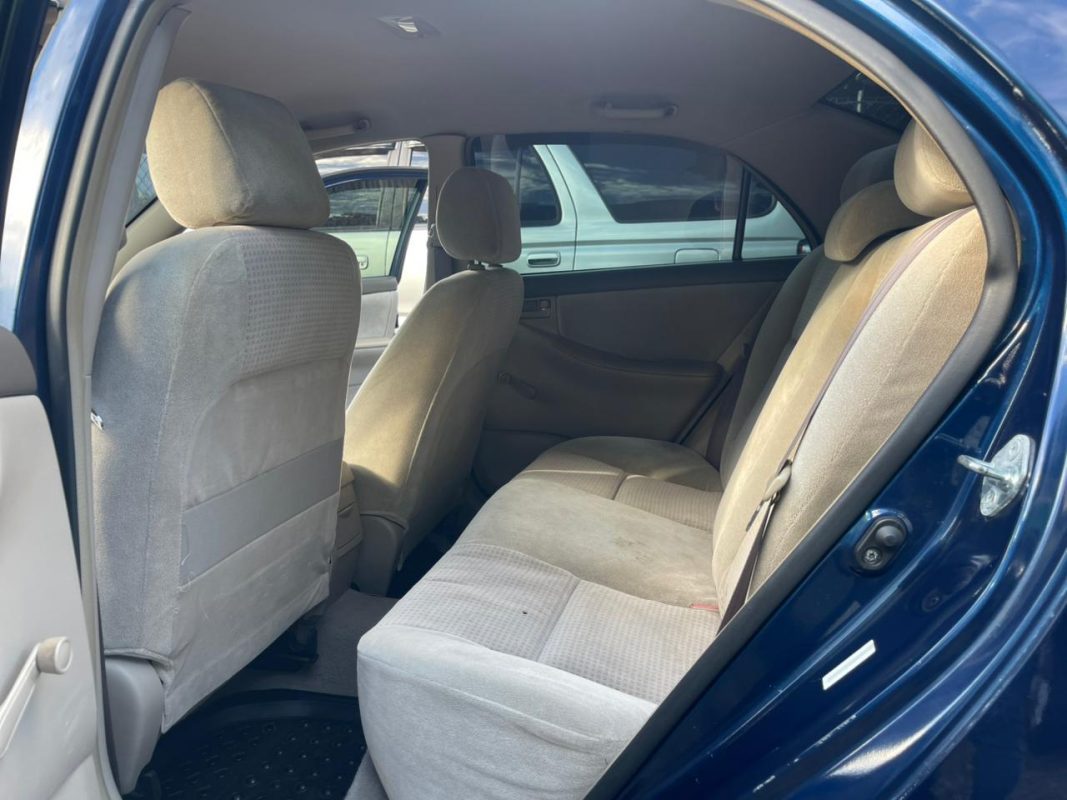 WhatsApp Image 2025-11-28 at 3.36.27 PM (2)