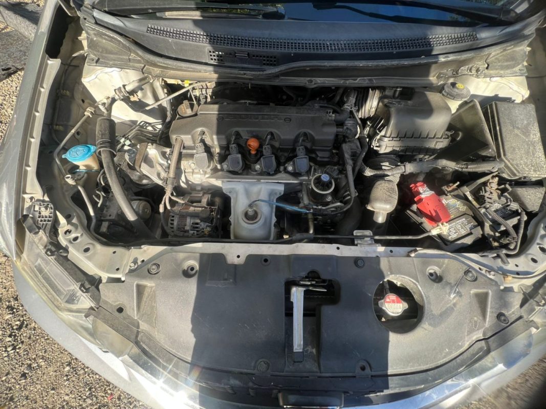 WhatsApp Image 2025-11-28 at 7.49.04 PM