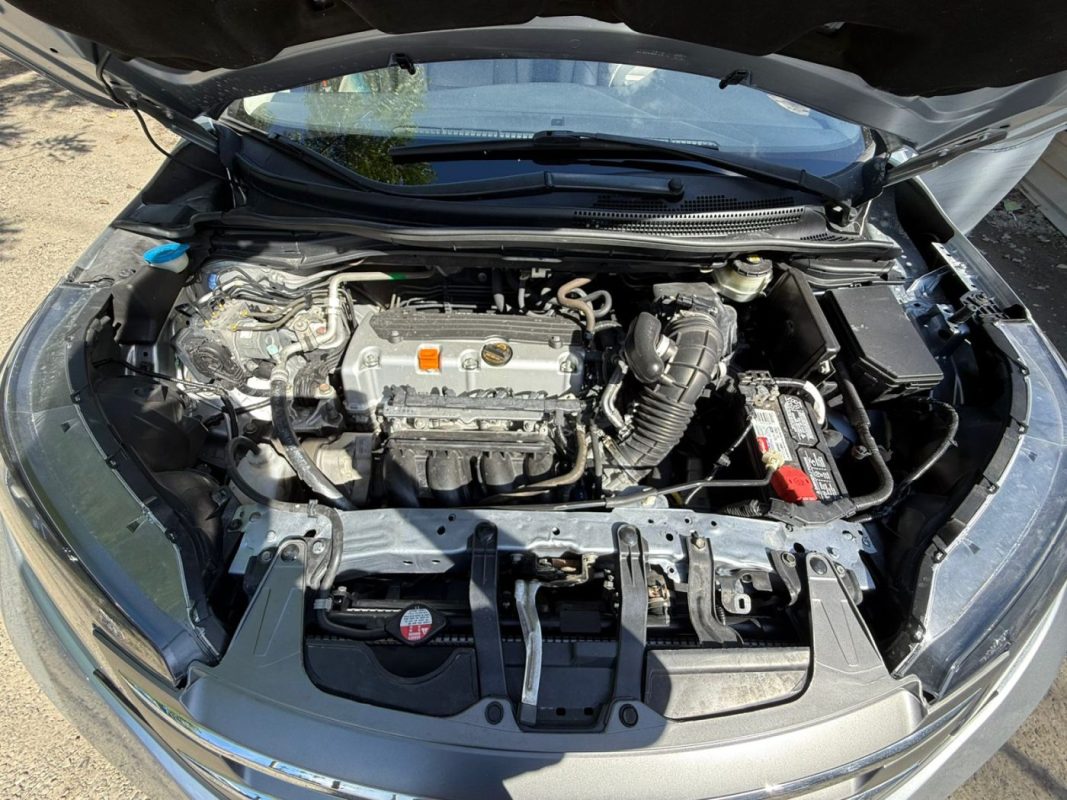 WhatsApp Image 2025-11-28 at 8.37.52 PM