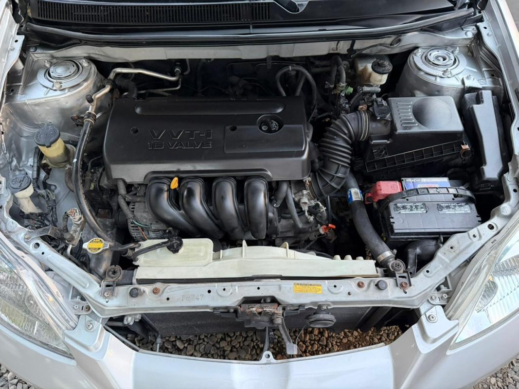 WhatsApp Image 2025-11-28 at 9.19.11 PM (3)