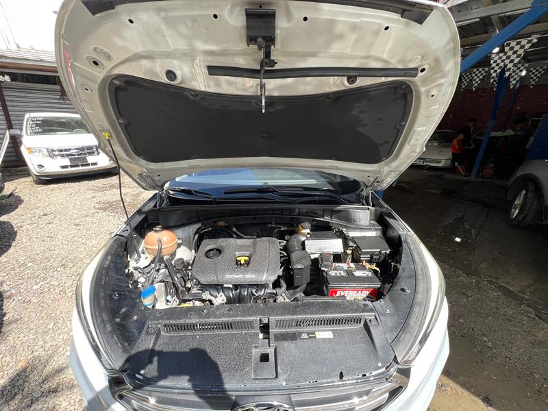 WhatsApp Image 2025-11-29 at 12.16.15 PM (4)