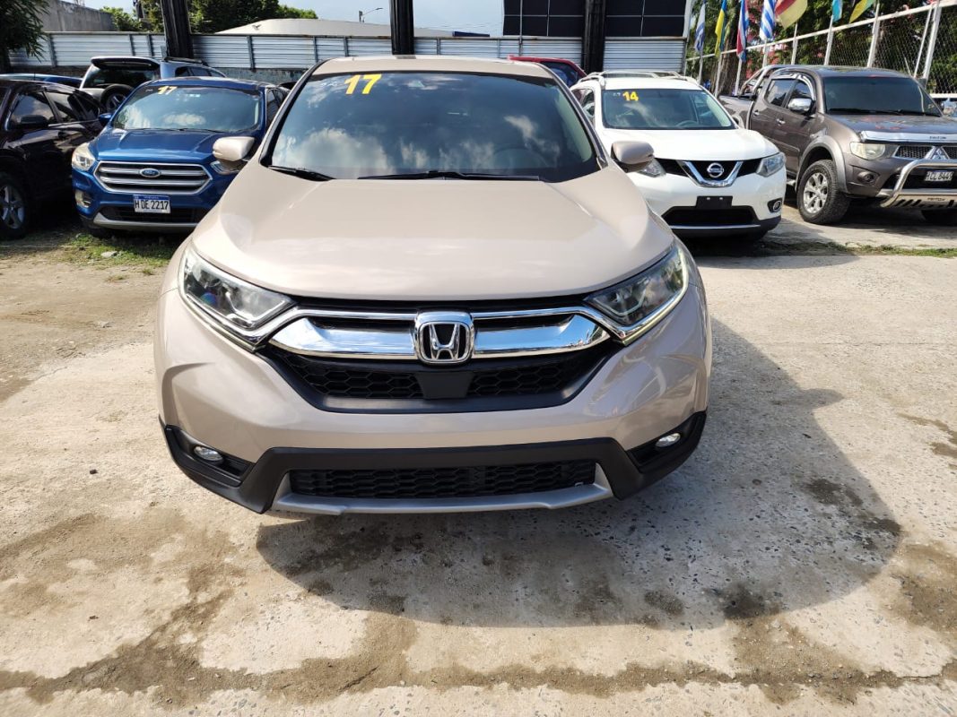 WhatsApp Image 2025-12-20 at 7.20.56 AM