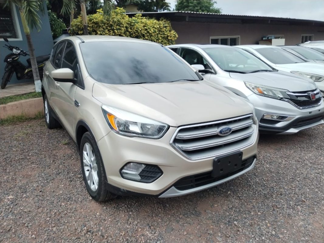 ad995a35-280a-4464-a777-1f9f995cdb41