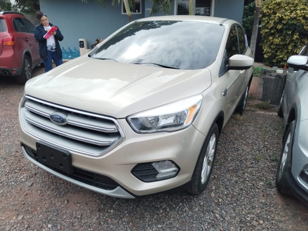 bddd23e2-a1e0-4f05-9736-bea345796977