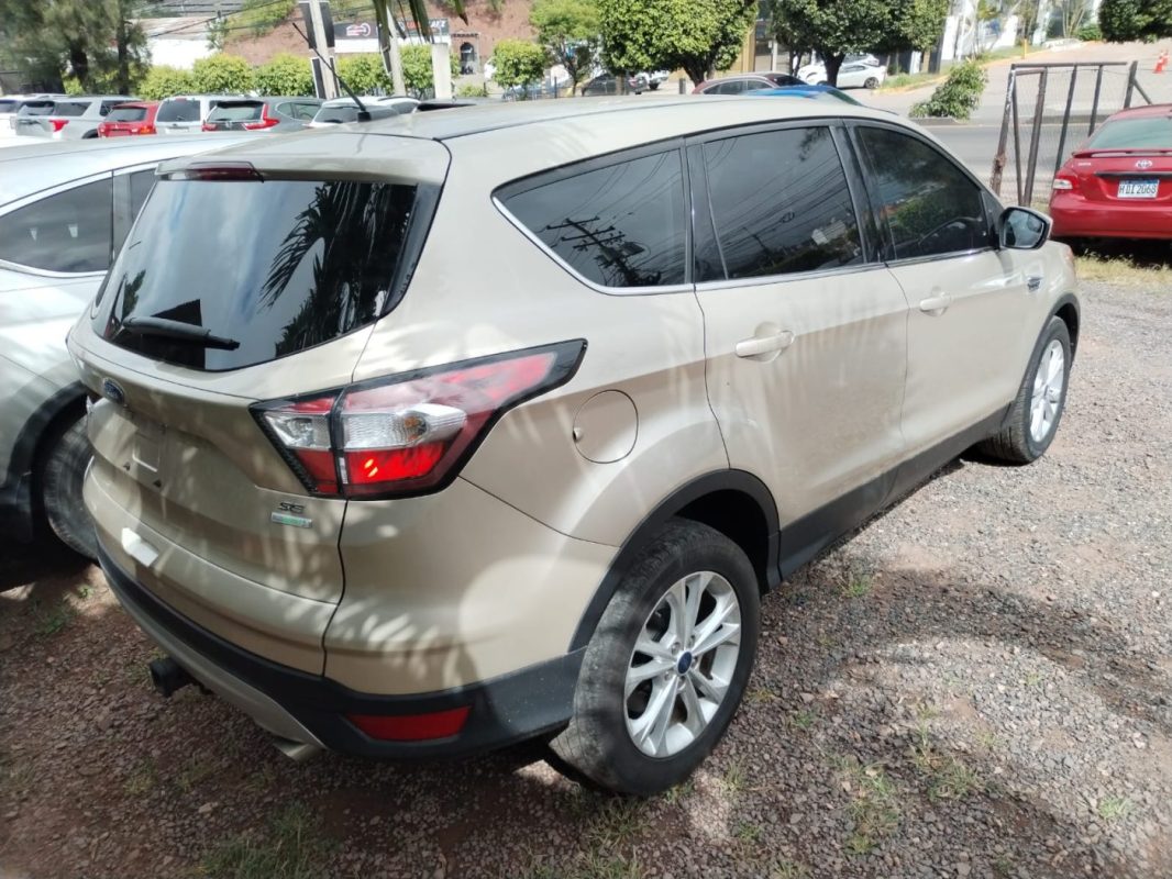 c48d185f-c261-4fcf-9086-404bc2149ef3