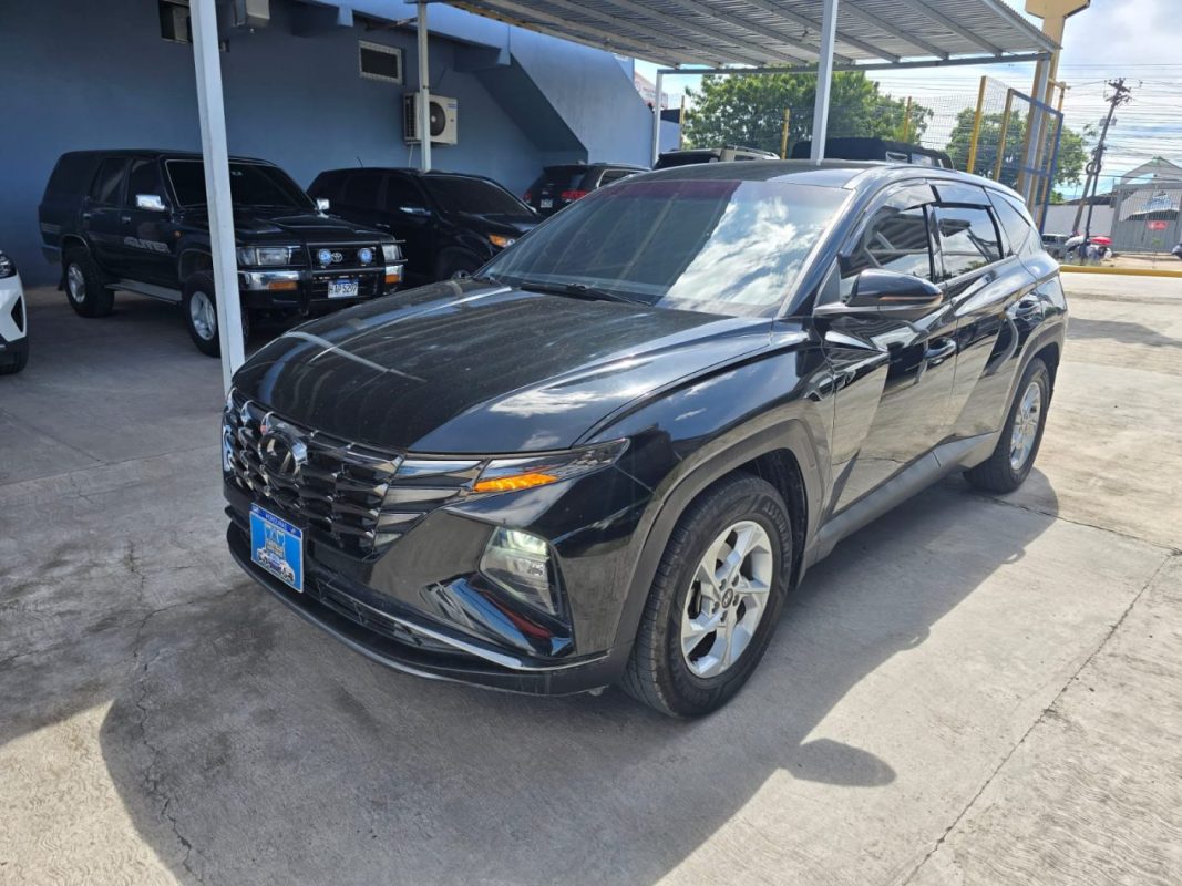 d669fc9c-e9ad-4570-9a20-84f39338e3c5