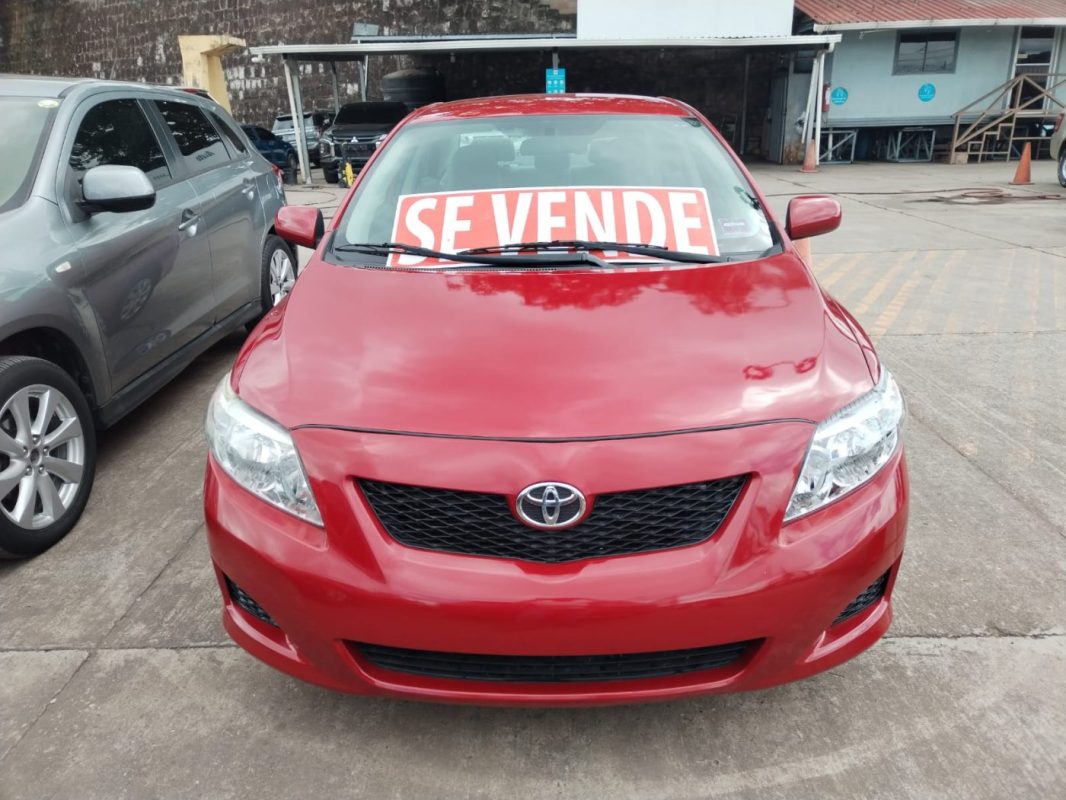 10063eb9-aa3d-41ee-b750-a9ab234084ea