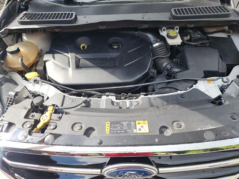 FJIMG_20251210_094149