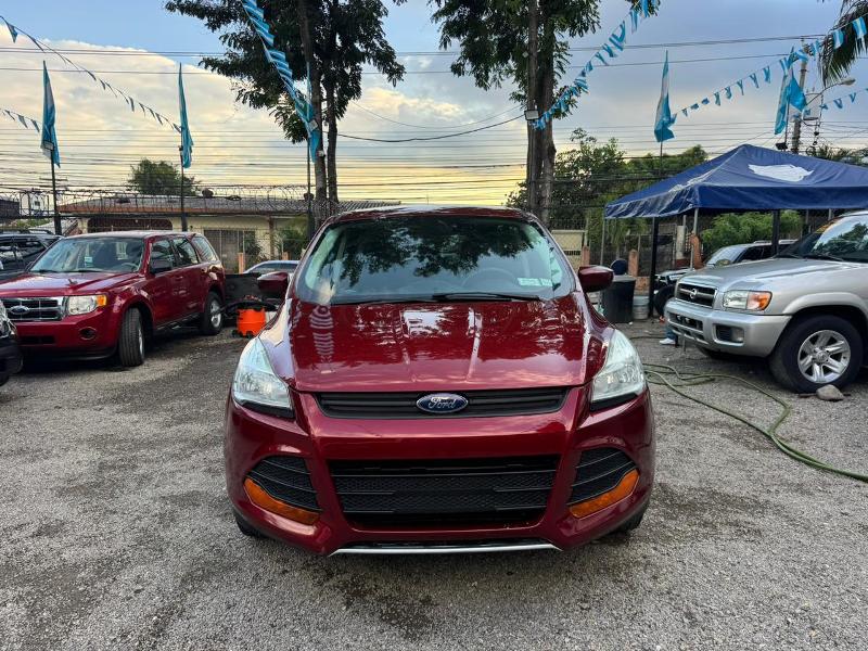 WhatsApp Image 2025-12-05 at 4.26.50 PM