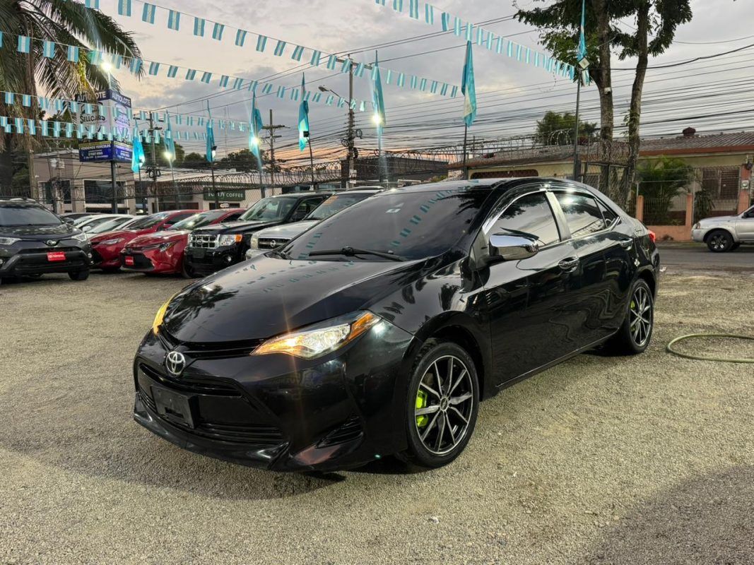 WhatsApp Image 2025-12-10 at 5.48.17 PM (3)