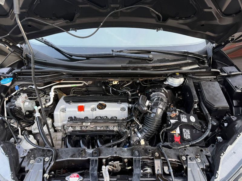 WhatsApp Image 2025-12-15 at 2.30.34 PM