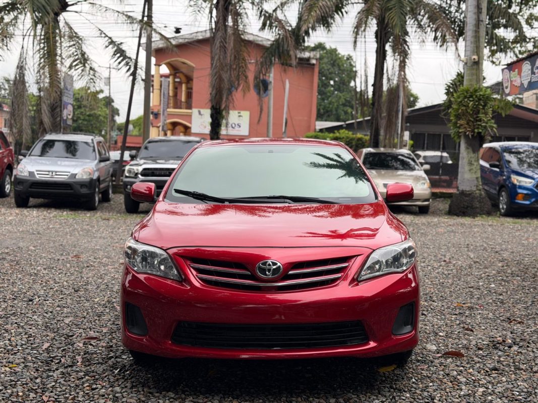 WhatsApp Image 2025-12-17 at 10.30.56 AM (1)